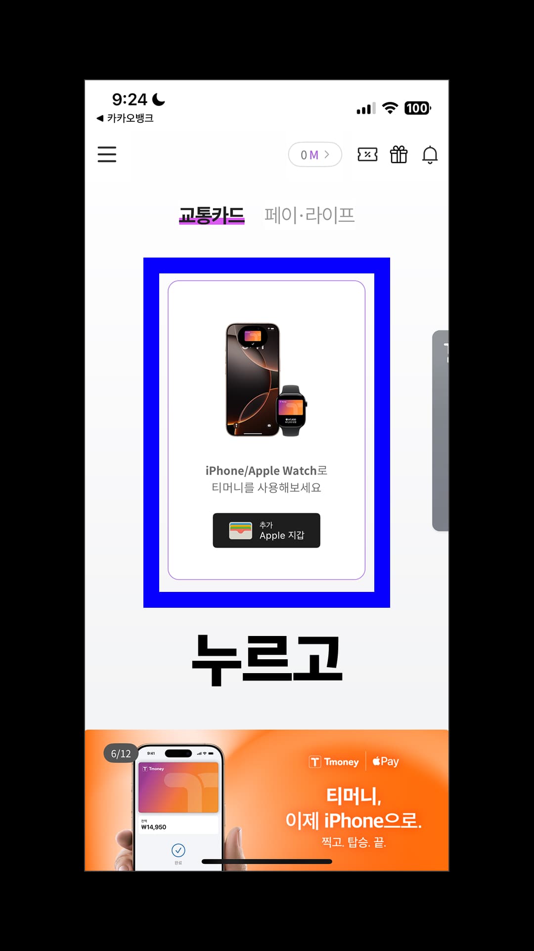 'iPhone/Apple Watch로 티머니를 사용해보세요'를 누릅니다.