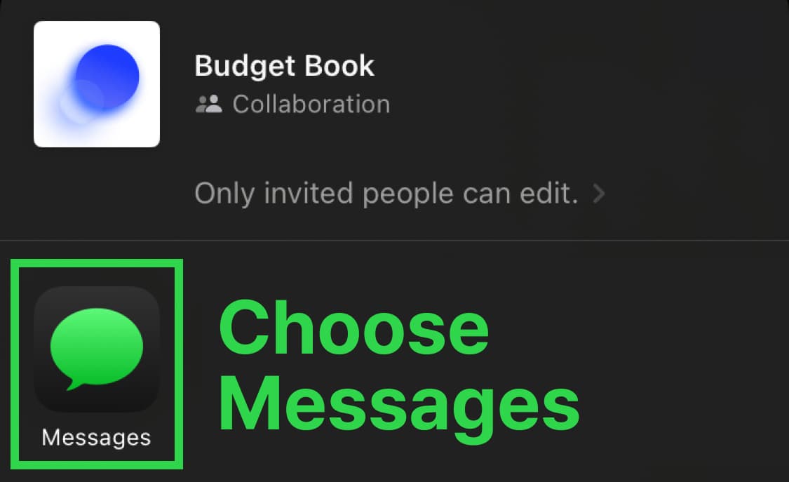 Next, choose the 'Messages (iPhone)' app 💬 and enter the iCloud contact of the person you want to share with in the 'To' field 🌠